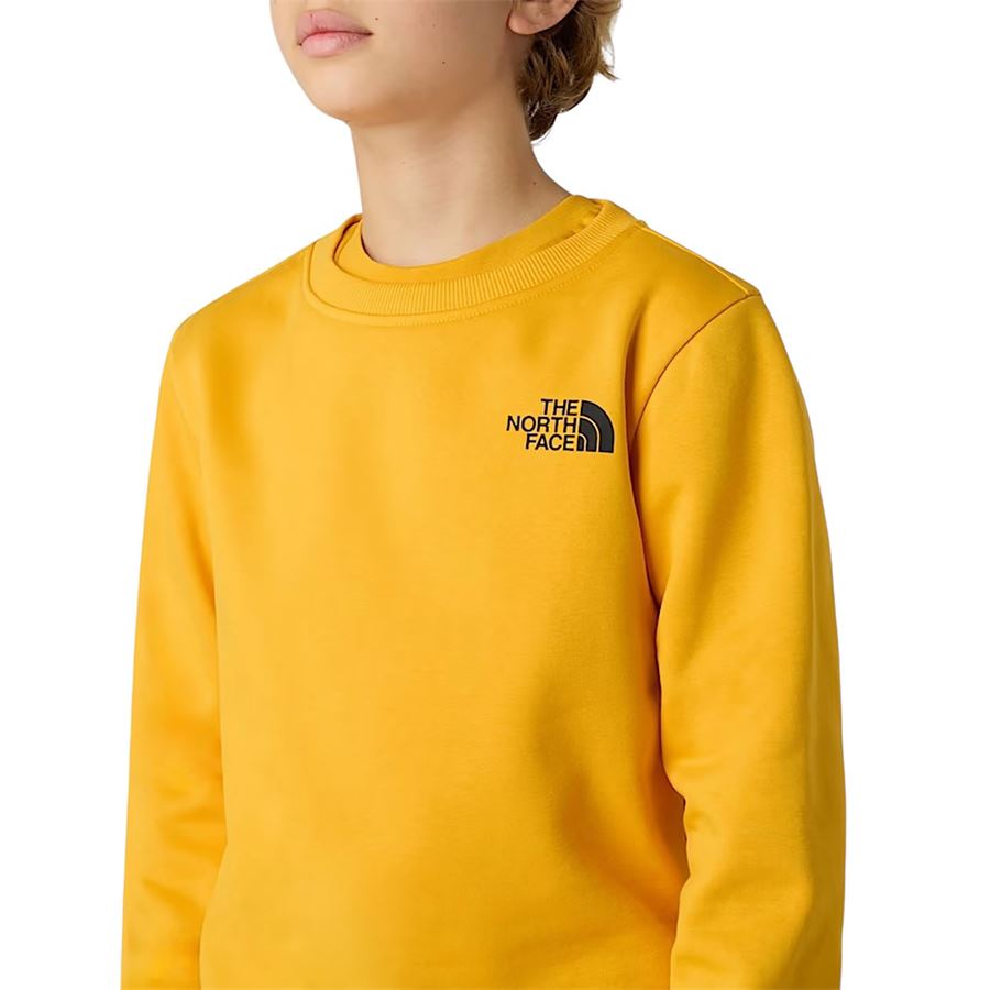  The North Face | NF0A89H756P
